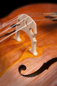 Cello-Ganesh-2007_closeup01.jpg