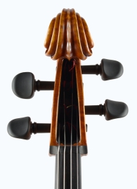 lamario2012-violoncelle_Tetedevant.jpg